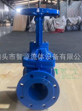 ABI软密封明杆法闸阀厂家铸铁弹性座封兰防-护闸阀Z41X61Q阀门加