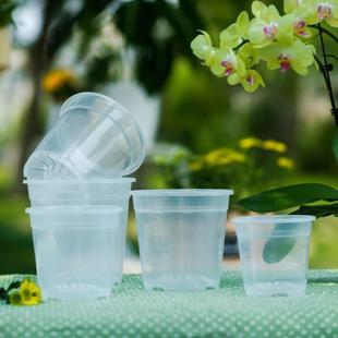 透明花盆天津嘉利供塑料高兰花盆多肉蝴蝶花工盆厂应销售高透花盆