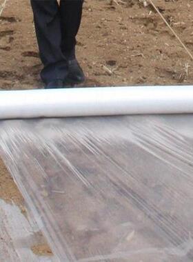 薄地膜白色膜农用塑料明果园蔬菜大棚种除JPJ草工程养护土植工透