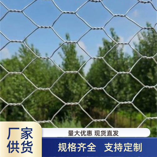 镀锌铁丝养殖鸡笼镀锌铁丝网养殖家禽涂塑六角拧花网