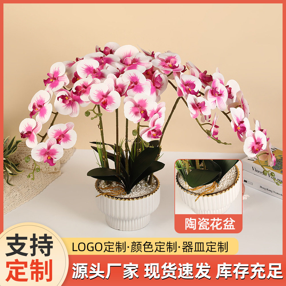 蝴蝶兰仿真花陶瓷盆栽婚礼用花PU塑料假花盆景轻奢客厅装饰人造花