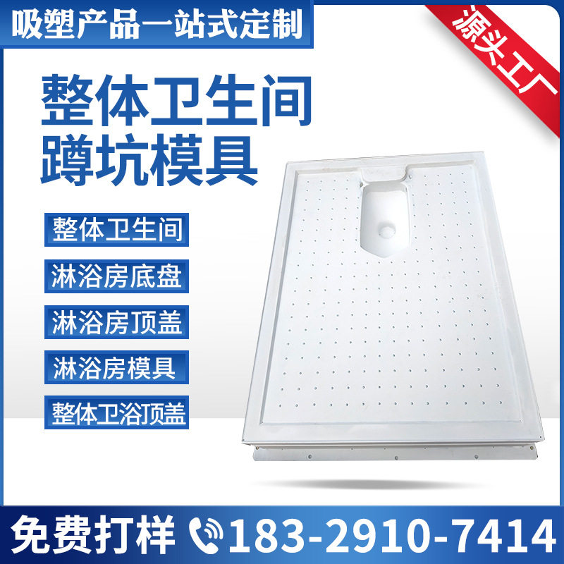 一体式整体卫生间蹲坑淋浴模具