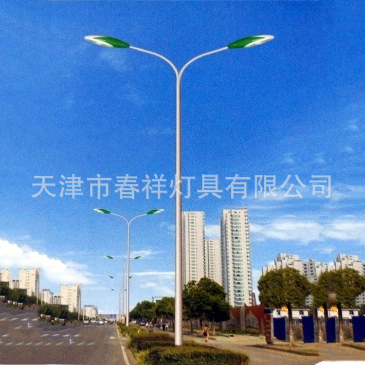 户外广场球场灯杆双臂杆乡村双头庭院灯杆11米双弯路灯杆