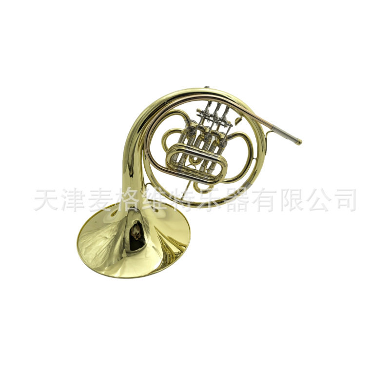 降B调儿童圆号乐器 四键双排西洋管乐乐队圆号单排圆号