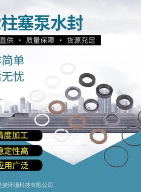 高压柱塞水泵工业水泵柱塞高压泵配件SXW/SHP密封件密封水封2874