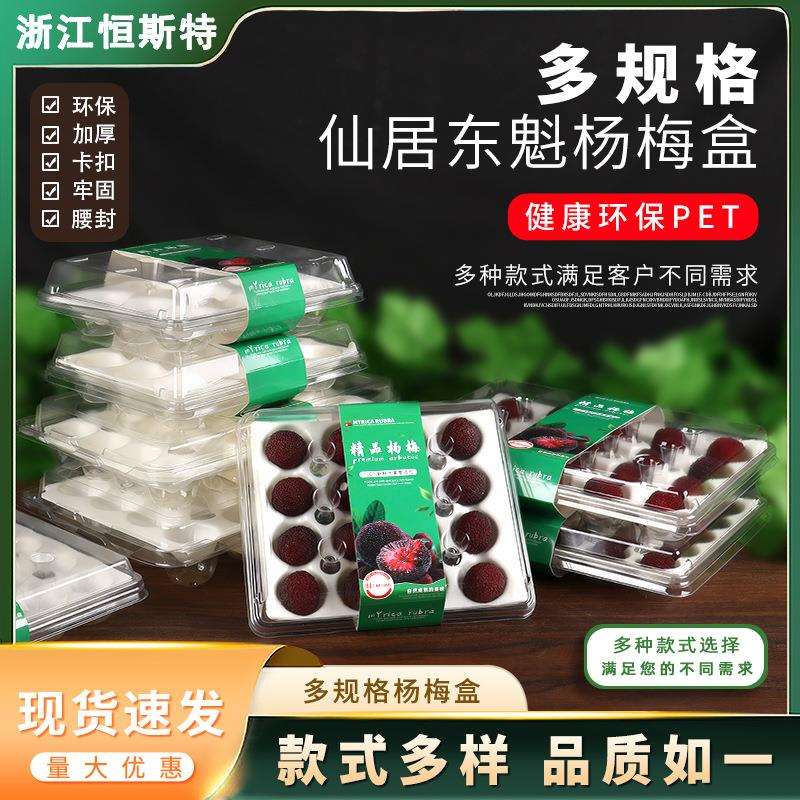 仙居杨梅包装盒透明一次性大颗东魁杨梅盒20粒防震防撞顺丰杨梅盒