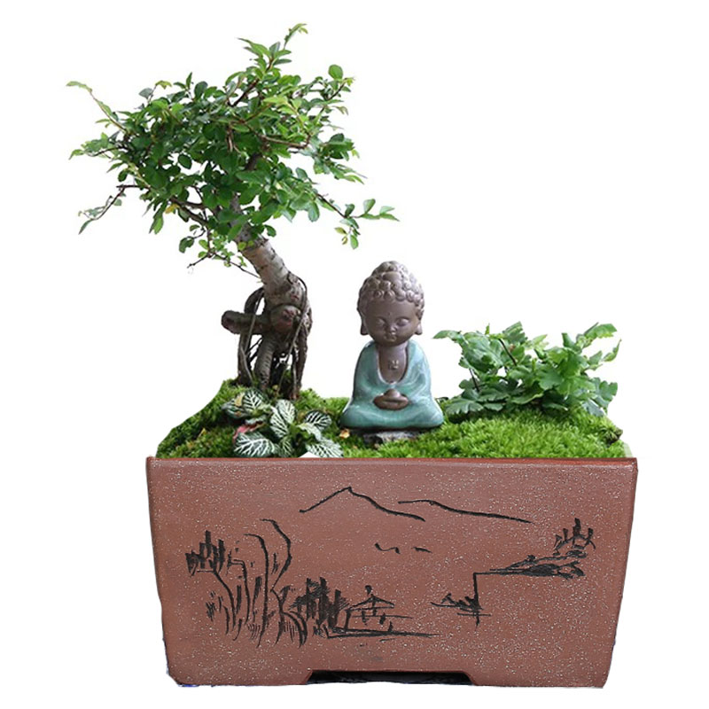 宜兴新希望手工长方形文竹 榕树 树桩 盆景盆 特大多肉陶瓷花盆