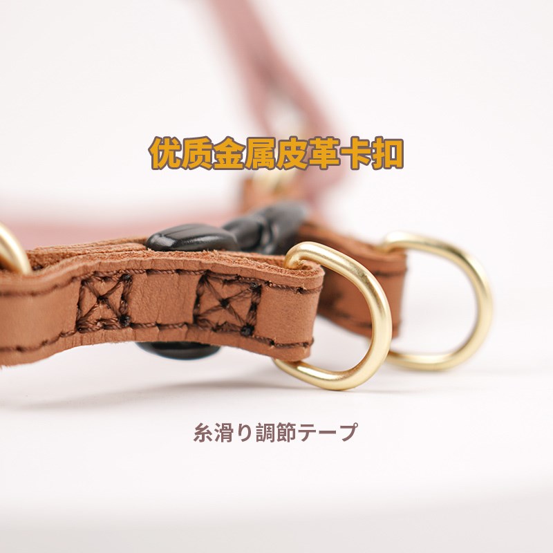 AZERIA猫咪狗狗牵引绳小型犬工字型胸背狗可调节宠物遛狗绳遛猫绳