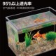 桌面客厅办公室迷你生态斗鱼金鱼乌龟缸生态造景懒人养鱼水草鱼缸