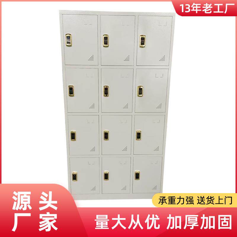 供应智能电子感应储物柜12门刷卡柜工厂宿舍智能感应文件柜