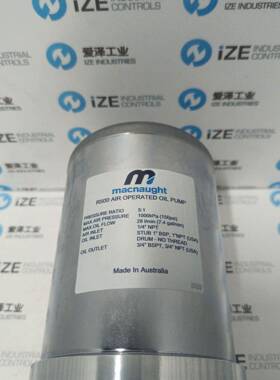 MACNAUGHT泵R500T-01原装