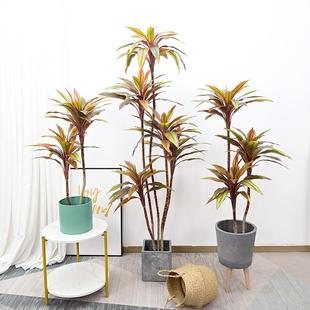 北欧仿真红叶朱蕉绿植客厅家居酒店造景热带雨林景观植物假树盆栽