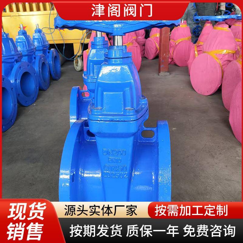 342铸铁软密闸阀封性开座封闸阀弹暗杆阀门关闸阀法兰软密封闸阀