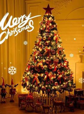 大型诞摆树发光加密件02438圣5新款家用2diy装饰圣诞节高级感ins
