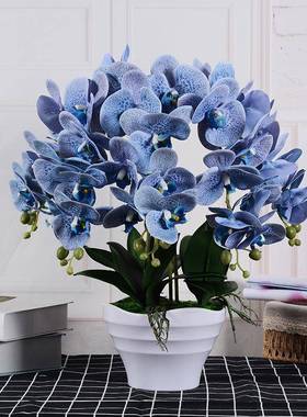 蝴蝶兰仿真套装客XOF厅假摆件大花盆兰花花盆栽装花饰摆设插花艺