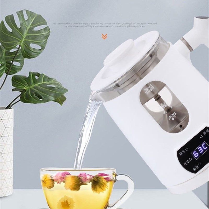 220V110V迷你养生壶蒸汽煮茶器黑茶煮茶壶小型玻璃花茶壶电热水壶