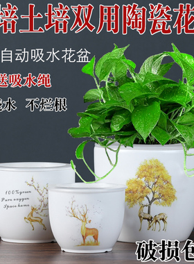 简约白色懒人花盆陶瓷自动吸水绿萝无孔水培储水荷花缸莲花专用盆
