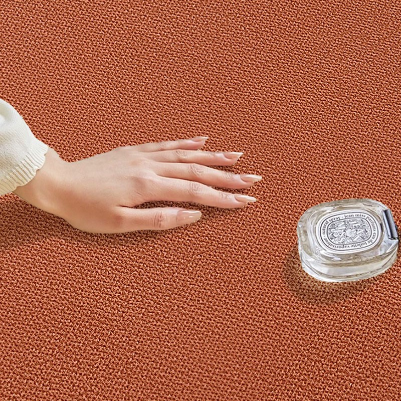 红色地毯客厅大门入户2023新款地垫轻奢高级门口进门耐脏丝圈脚垫