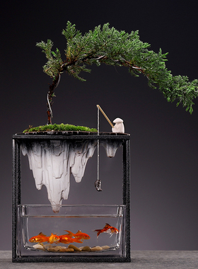 中式绿植盆栽摆件客厅玻璃小鱼缸造景地柏植物文竹办公室桌面装饰