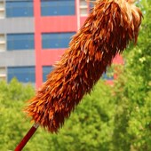 不掉毛家用真手工鸡毛掸子静电防大扫除神器除尘扫灰打扫桌子卫生