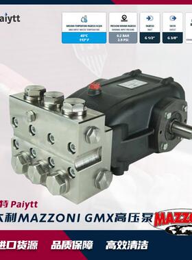 意大利进口MAZZONI工业泵不锈钢泵耐腐蚀耐高温柱塞泵