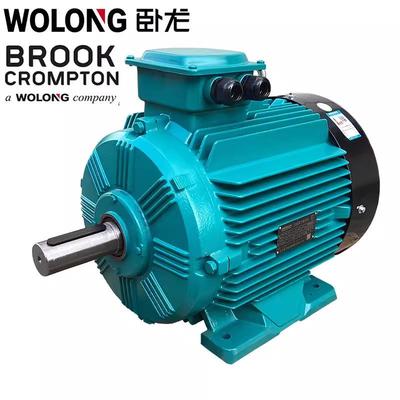 卧龙电气IE2/IE3/WE3/WE4/WE5/YE4系列三相异步电机电动机