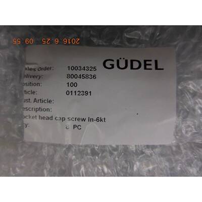 GUDEL112391