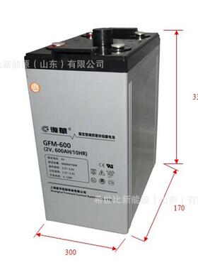 上海复华蓄电池GFM-1000直流屏不间断电源2V1000AH安防机房储能