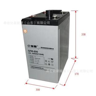 上海复华蓄电池GFM-1000直流屏不间断电源2V1000AH安防机房储能