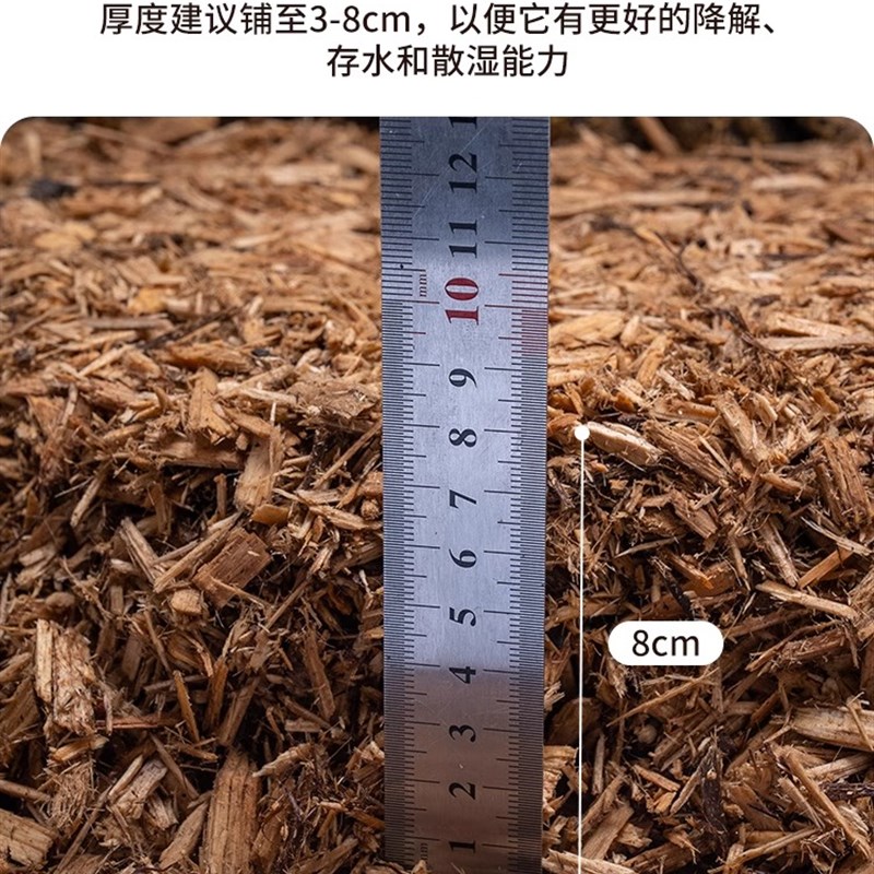 爬宠树皮垫材保湿雨林森林地表除臭分解守宫陆龟蛇饲养箱地垫自然