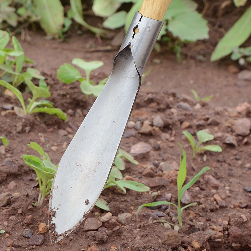 园艺工具户外挖土铲子家用种菜养花铲土铁锹锄头园林除草赶海神器,鲜花速递/花卉仿真/绿植园艺,铲子,淘宝优惠券,粉丝福利购,淘宝优惠卷