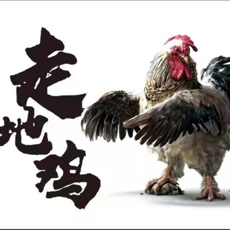 外卖售后卡定做外卖卡片定制餐饮好卡售后服务卡美团评论小贴心卡