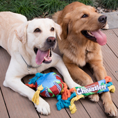 宠物用品狗狗玩具球彩虹糖果玩具磨牙耐咬发声棉绳解闷互动玩具