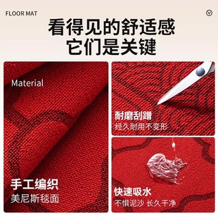 入户门地垫龙年进门门垫新年门口地毯入宅可擦免洗垫子2024年新款