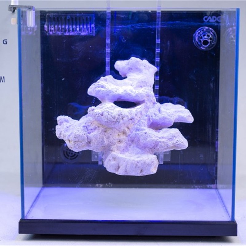 海水缸免爆藻快速开缸培菌造景石人造活石海缸珊瑚造型石澔阳澔海