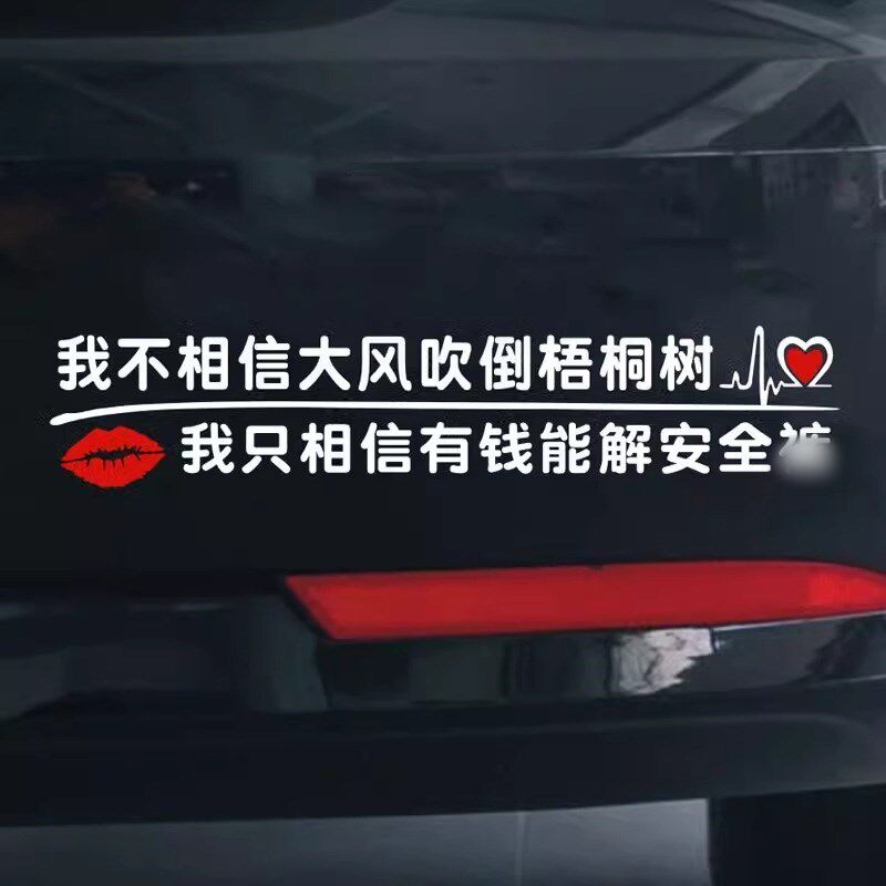 汽车个性搞笑文字贴纸少读书多看报车门贴我不相信大风吹倒梧桐树