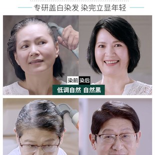 韩金靓染发剂轻松染一梳染发植物纯黑染发膏自己在家染发自然男女
