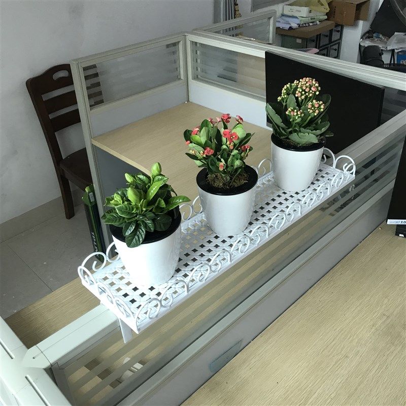 铁艺办公桌隔板多肉植物花架办公室工位桌面文件收纳架绿萝盆栽架