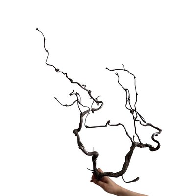 龙枣枝天然枯藤藤条装饰藤造型造景枯树山藤藤蔓树枝茶艺