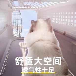 高铁宠物运输箱航空箱猫咪狗狗车载笼外出狗笼太空箱托运箱宠物箱