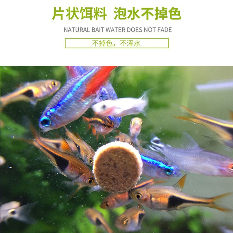 保拿仕海豚粘贴片鱼粮鱼食热带鱼饲料中小型热带鱼孔雀灯鱼100g