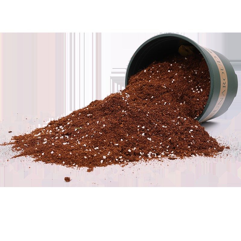 墨兰专用土四季建兰培植土盆栽花卉有机土专用营养土兰花苗种植土