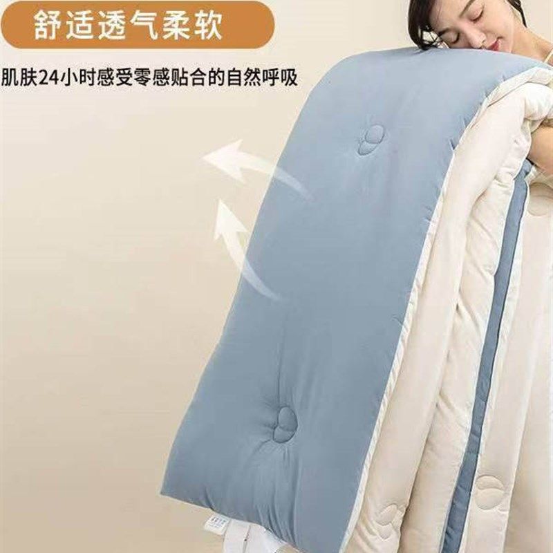 大豆纤维被子冬被棉被芯学生宿舍单人冬季春秋被加厚保暖四季通用,床上用品,棉花被,淘宝优惠券,粉丝福利购,淘宝优惠卷