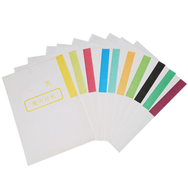 10个装 干部人事档案分类纸 彩色隔页纸 十大类 干部人事档案装订