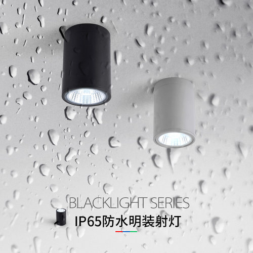 防水明装射灯室外阳台吸顶圆形户外灯雨棚店铺门口酒店游泳馆筒灯