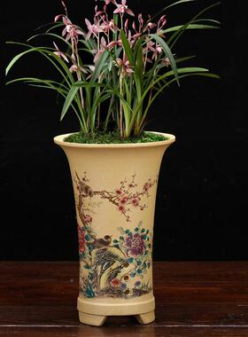 紫砂兰花厅盆君家子兰蕙建春兰客桌面花卉绿植简约OJC用陶瓷厂家