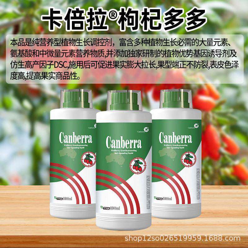 卡倍拉枸杞多多用专肥增枸枸杞子肥料中华GEV枸杞宁夏杞产膨大拉