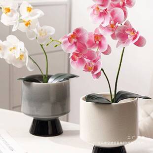 蝴蝶F976S6HH兰冰植裂釉肉陶脚瓷高花盆窑变透气绿多轻奢感装饰瓷