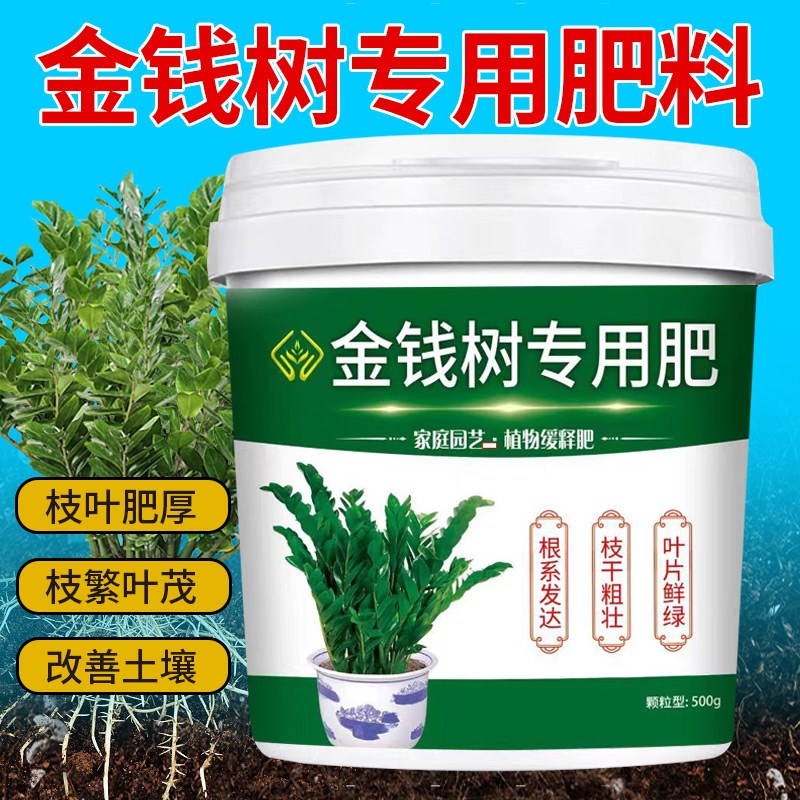 金钱树专用肥增根壮苗四季通用有机缓释型防板结防病除菌调营养