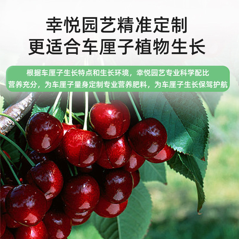 车厘子肥料复合肥樱桃树专用肥营无机肥